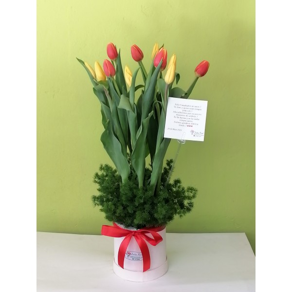 Box of 10 tulips