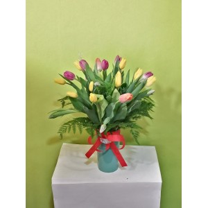 Box 20 tulipanes