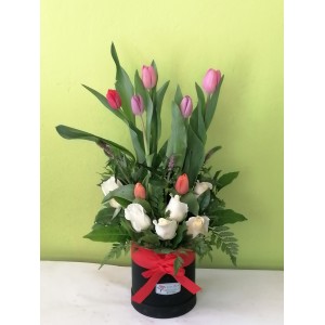 Box  mix 5 tulipanes
